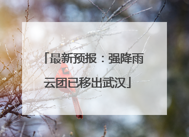 最新预报：强降雨云团已移出武汉