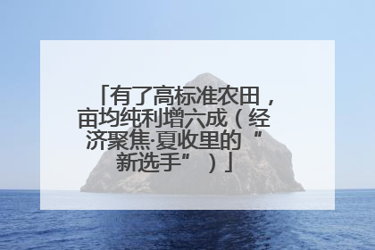 有了高标准农田，亩均纯利增六成（经济聚焦·夏收里的“新选手”）