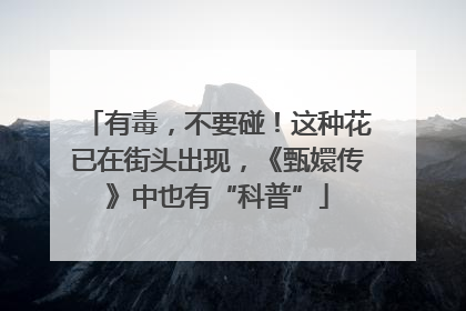 有毒，不要碰！这种花已在街头出现，《甄嬛传》中也有“科普”
