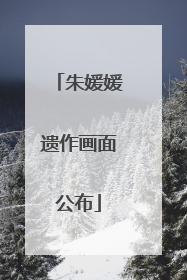 朱媛媛遗作画面公布
