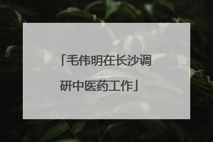 毛伟明在长沙调研中医药工作