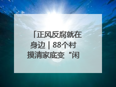 正风反腐就在身边｜88个村摸清家底变“闲”为“宝”