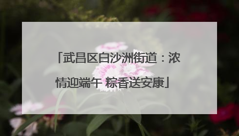 武昌区白沙洲街道：浓情迎端午 粽香送安康