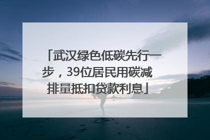 武汉绿色低碳先行一步，39位居民用碳减排量抵扣贷款利息