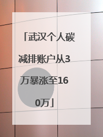 武汉个人碳减排账户从3万暴涨至160万