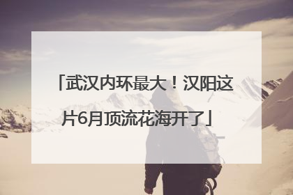 武汉内环最大！汉阳这片6月顶流花海开了