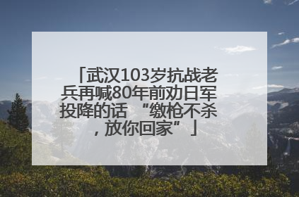 武汉103岁抗战老兵再喊80年前劝日军投降的话 “缴枪不杀，放你回家”