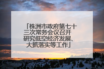 株洲市政府第七十三次常务会议召开 研究低空经济发展、大抓落实等工作