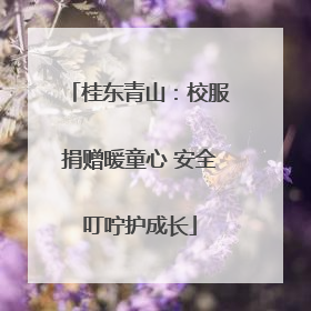 桂东青山：校服捐赠暖童心 安全叮咛护成长