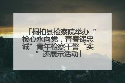 桐柏县检察院举办“检心永向党，青春铸忠诚”青年检察干警“实”迹展示活动
