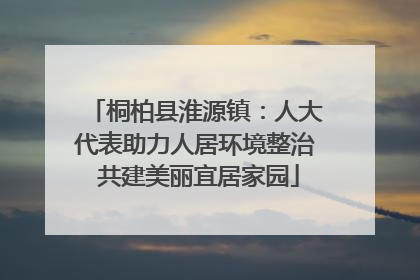 桐柏县淮源镇：人大代表助力人居环境整治 共建美丽宜居家园