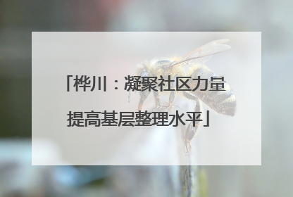 桦川：凝聚社区力量 提高基层整理水平