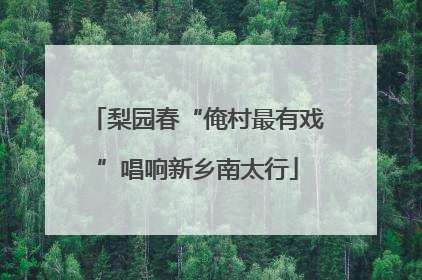 梨园春“俺村最有戏”唱响新乡南太行