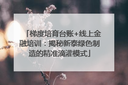 梯度培育台账+线上金融培训：揭秘新泰绿色制造的精准滴灌模式