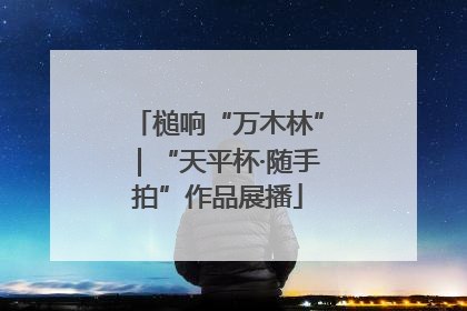 槌响“万木林”｜“天平杯·随手拍”作品展播