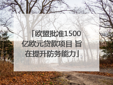 欧盟批准1500亿欧元贷款项目 旨在提升防务能力
