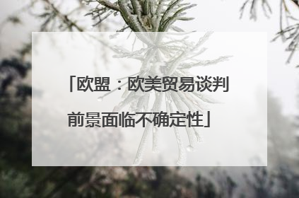 欧盟：欧美贸易谈判前景面临不确定性
