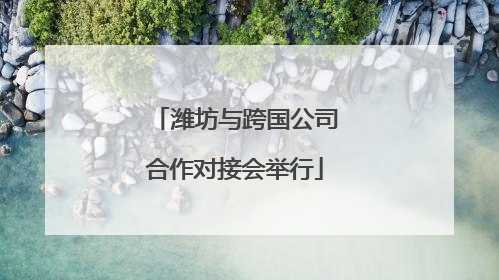 潍坊与跨国公司合作对接会举行
