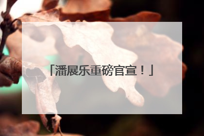 潘展乐重磅官宣！