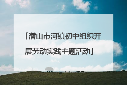 潜山市河镇初中组织开展劳动实践主题活动