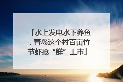 水上发电水下养鱼，青岛这个村百亩竹节虾抢“鲜”上市