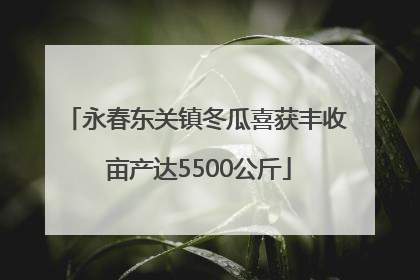 永春东关镇冬瓜喜获丰收 亩产达5500公斤