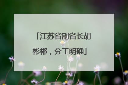 江苏省副省长胡彬郴，分工明确