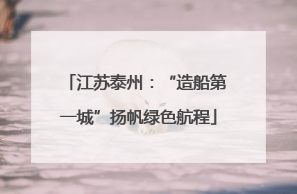 江苏泰州：“造船第一城”扬帆绿色航程