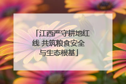 江西严守耕地红线 共筑粮食安全与生态根基