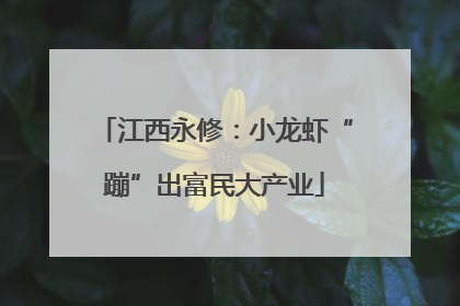 江西永修：小龙虾“蹦”出富民大产业