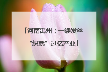 河南禹州：一缕发丝“织就”过亿产业