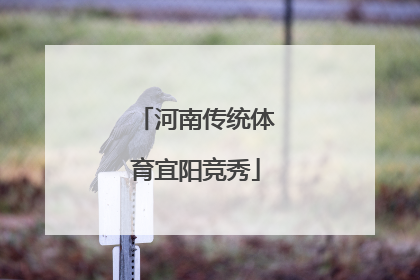 河南传统体育宜阳竞秀