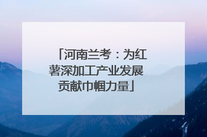 河南兰考：为红薯深加工产业发展贡献巾帼力量