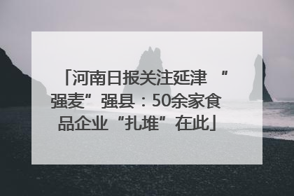 河南日报关注延津 “强麦”强县：50余家食品企业“扎堆”在此