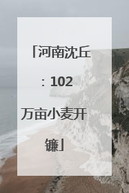 河南沈丘：102 万亩小麦开镰