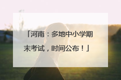 河南：多地中小学期末考试，时间公布！