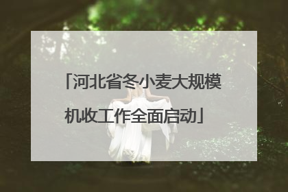河北省冬小麦大规模机收工作全面启动