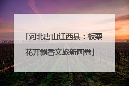 河北唐山迁西县：板栗花开飘香文旅新画卷