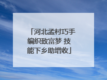 河北孟村巧手编织致富梦 技能下乡助增收