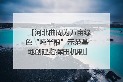 河北曲周为万亩绿色“吨半粮”示范基地创建指挥田机制