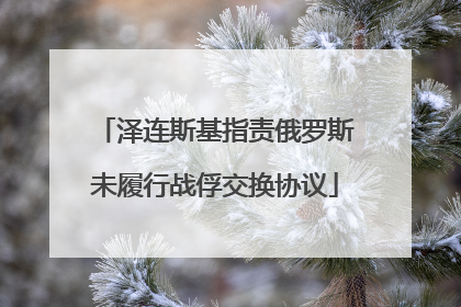 泽连斯基指责俄罗斯未履行战俘交换协议