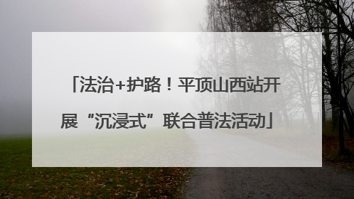 法治+护路！平顶山西站开展“沉浸式”联合普法活动