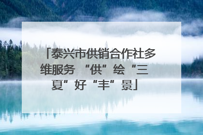 泰兴市供销合作社多维服务 “供”绘“三夏”好“丰”景