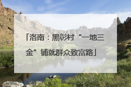 洛南：黑彰村“一地三金”铺就群众致富路