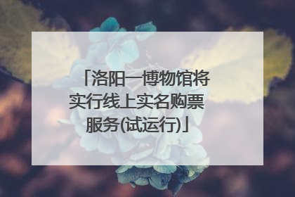 洛阳一博物馆将实行线上实名购票服务(试运行)