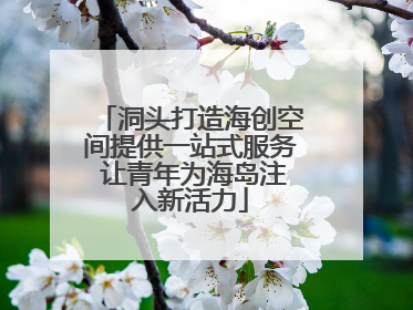洞头打造海创空间提供一站式服务 让青年为海岛注入新活力