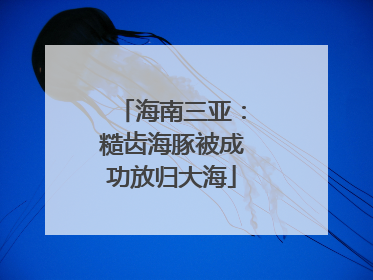 海南三亚：糙齿海豚被成功放归大海