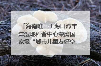 海南唯一！海口潭丰洋湿地科普中心荣膺国家级“城市儿童友好空间建设园区”称号