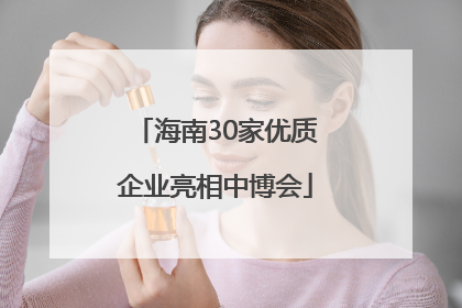 海南30家优质企业亮相中博会