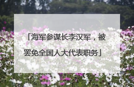 海军参谋长李汉军，被罢免全国人大代表职务
